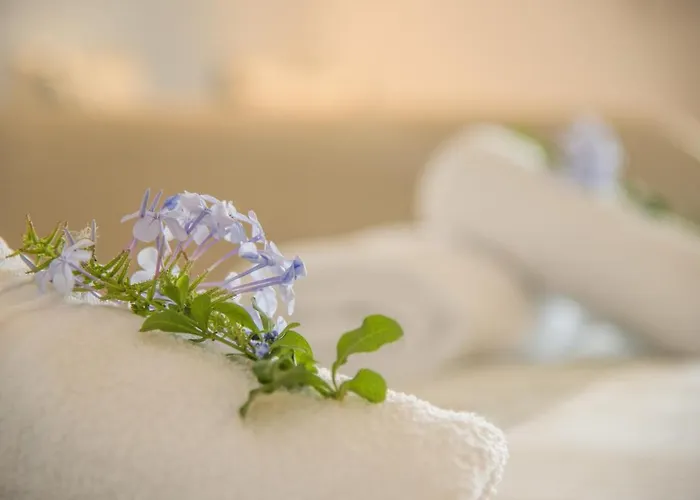 Cycladic Islands Hotel & Spa