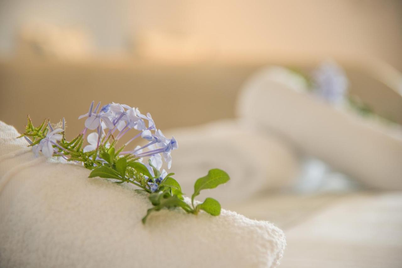 Hotel Cycladic Islands &